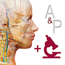 Anatomy &amp; Physiology - Visible Body