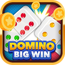 Download Domino Big Win Install Latest APK downloader