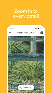 Google Arts & Culture Screenshot
