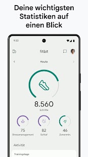 Fitbit Screenshot