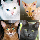 ダウンロード Cats Quiz - Guess Photos of All Popular C をインストールする 最新 APK ダウンローダ