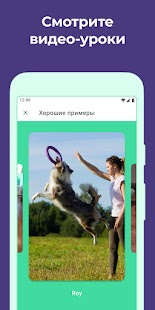 Дого - Дрессировка Собак Screenshot