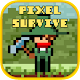 Pixel Survival Adventure