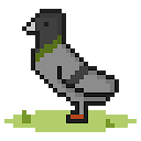 Pigeon Raising 3.0.32 APK Herunterladen
