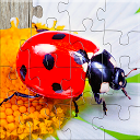 ダウンロード Insect Jigsaw Puzzle Game Kids をインストールする 最新 APK ダウンローダ