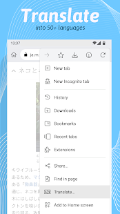 Kiwi Browser - Fast & Quiet Screenshot