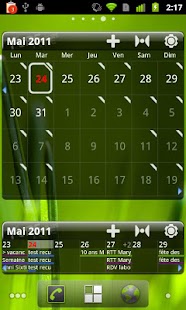 Pure Grid calendar widget Screenshot