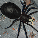 ダウンロード Spider Hunter Amazing City 3D をインストールする 最新 APK ダウンローダ