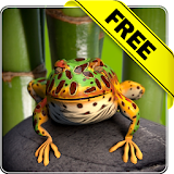 Toad live wallpaper Free icon