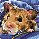 Download Hamster Pet Puzzles Install Latest APK downloader