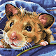 Hamster Troeteldierraaisels