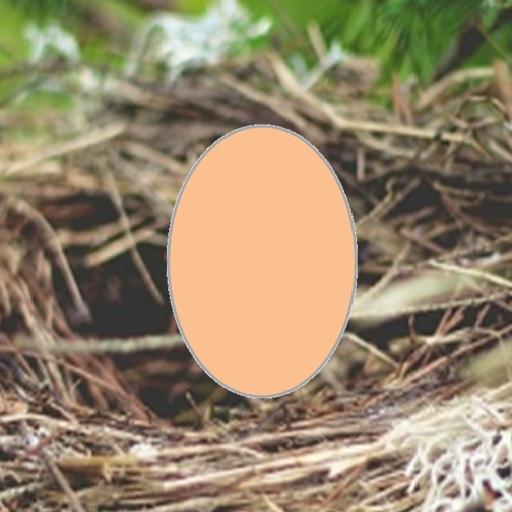 Break Egg logo