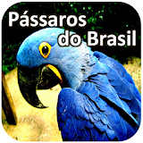 Pássaros do Brasil icon