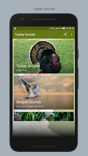 Android application Turkey Sounds screenshort