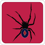 Cover Image of Download Solitaire Spider  APK