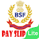 b s f pay slip lite icon