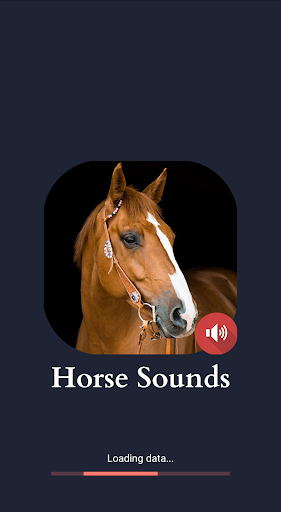 Horse Sounds