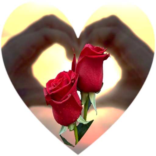 Rosas De Colores Para Dedicar Screen 2