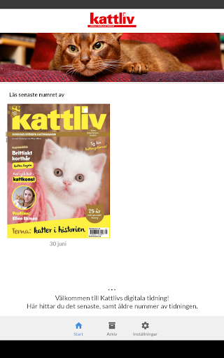 Kattliv Screen 3