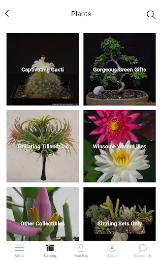Plantae Paradise Screen 2