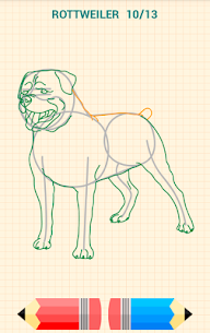 How to Draw Dogs 11