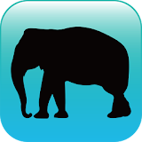 블루래빗동물 - AR icon