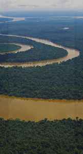Amazon River Wallpaper