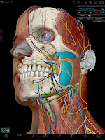 Human Anatomy Atlas 2021: Complete 3D Human Body 2021.2.27 poster 16