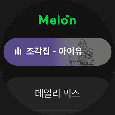 멜론(Melon)_8