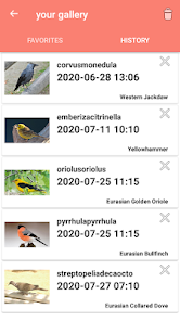 Bird Identification  screenshots 5