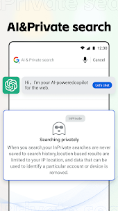AI Privacy Browser：Private&AI