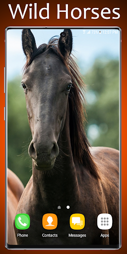 Wild Horses Live Wallpaper Screen 3