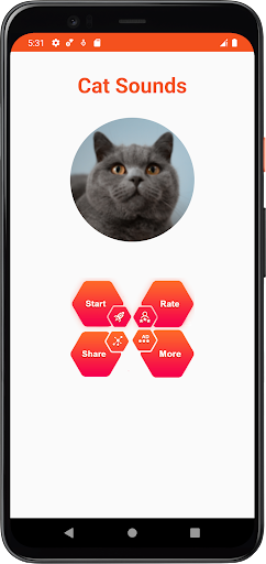 Cat Sounds Screen 2