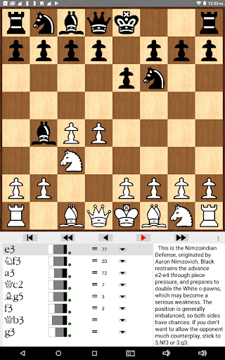 Promaster Chess Openings