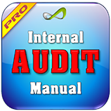 Internal Audit Process Manual icon