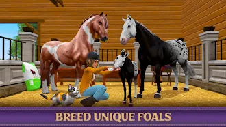 Game screenshot Star Equestrian - Horse Ranch mod apk