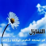 Cover Image of 下载 كلمات عن الامل والتفاؤل  APK