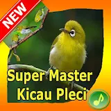 Super Master Kicau Pleci icon