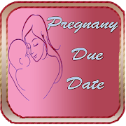 Pregnancy Due Date Guide  Icon