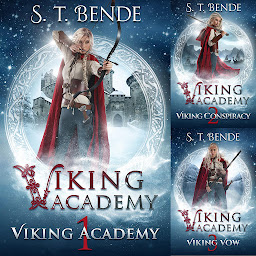 Obraz ikony: Viking Academy