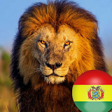 León Imperial de Bolivia icon