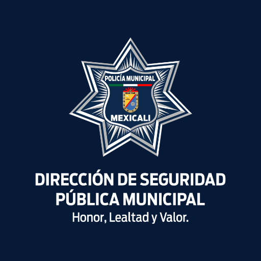 DSPM BITACORA logo