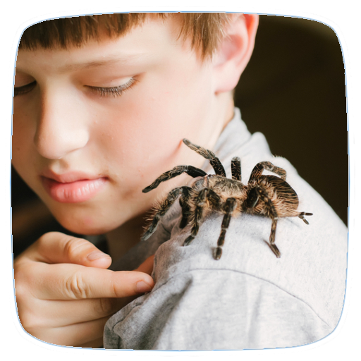 Pet Tarantula Care Guide logo