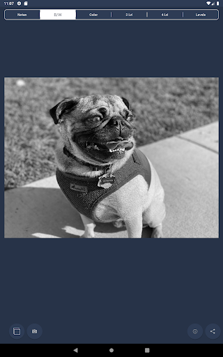 NotanIzer screenshot 13