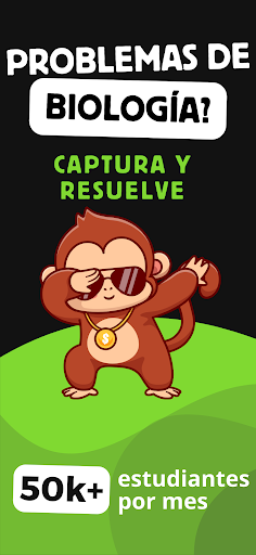 Vista previa de la aplicación