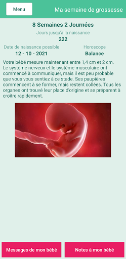 Aperçu de l'application