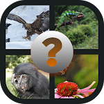 Cover Image of Herunterladen Animali Quiz 8.4.4z APK