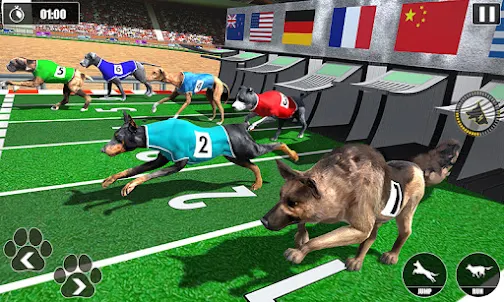 Campeonato de corridas de cães
