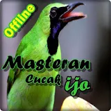 Masteran Cucak Ijo Offline icon