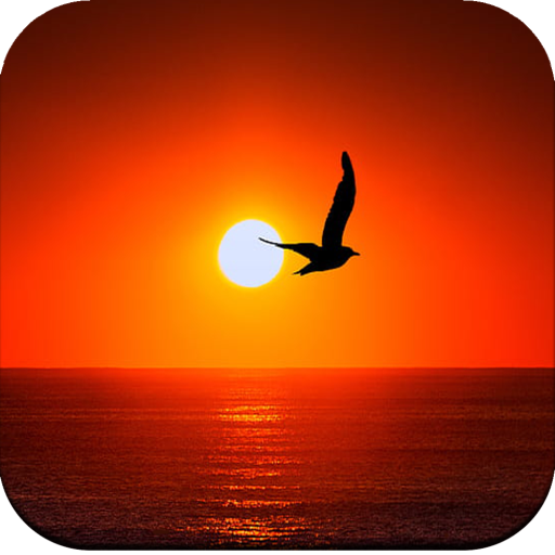 Sunrise Wallpaper logo